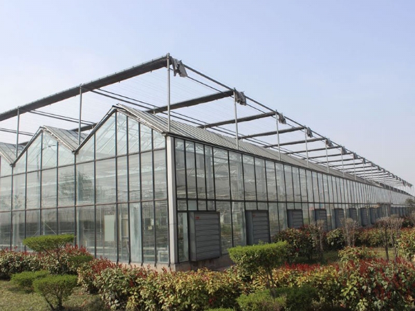 智能玻璃溫室 (4)