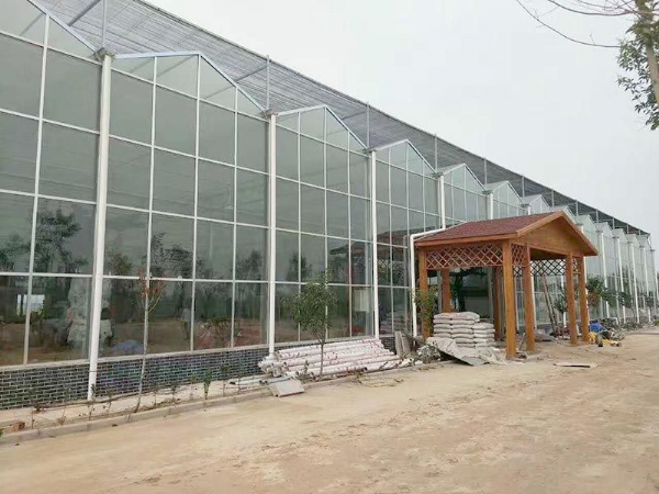 江西省贛州贛縣江口鎮(zhèn)，全玻璃溫室