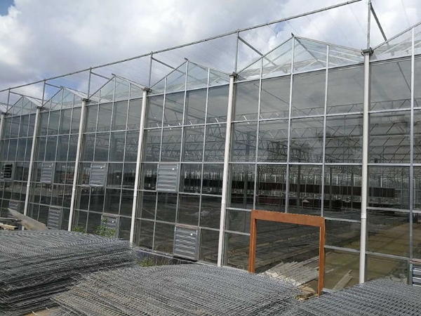 江西省贛州贛縣江口鎮(zhèn)，全玻璃溫室