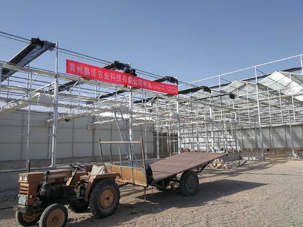 江西省贛州贛縣江口鎮(zhèn)，全玻璃溫室