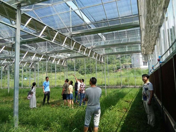 山西省呂梁市交城縣華西科技園