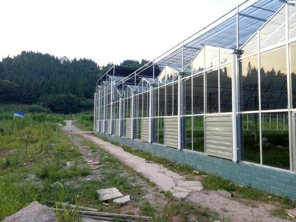 四川省遂寧市大石鎮(zhèn)全玻璃溫室3536平 