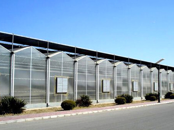 文絡陽光板溫室