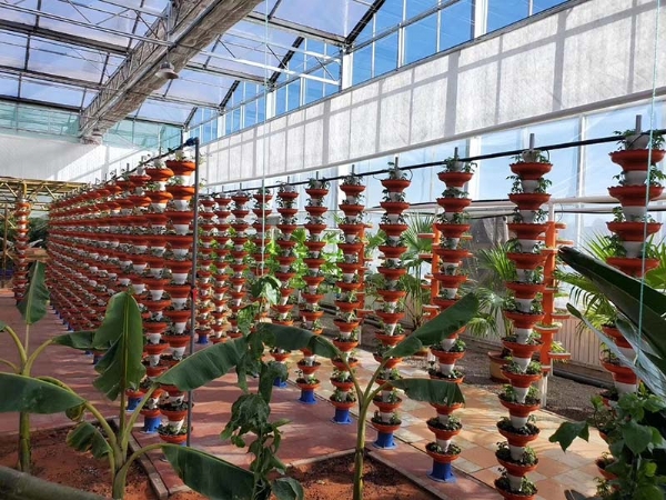 無土栽培立體種植