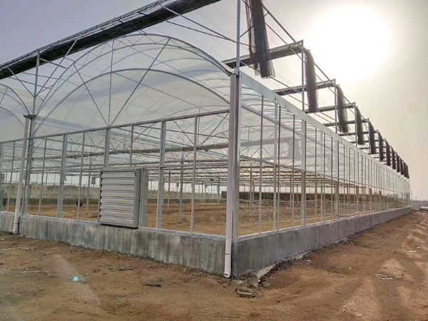 連棟溫室大棚