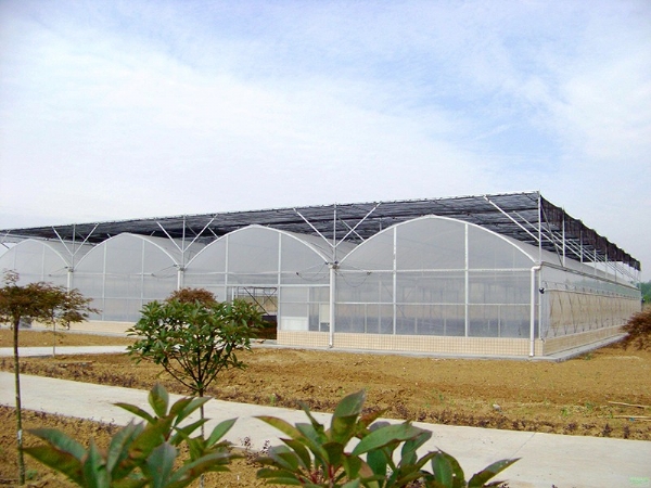 連棟溫室大棚