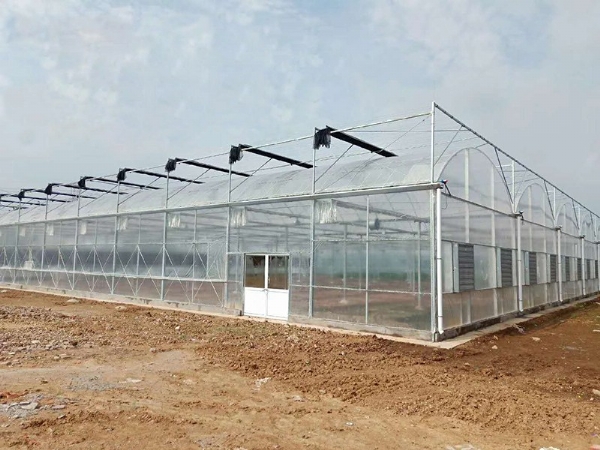 連棟溫室大棚