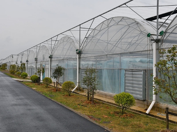 連棟溫室大棚