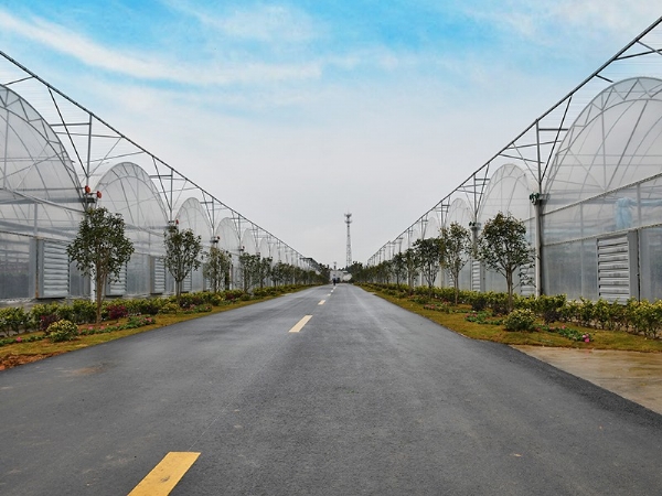 連棟溫室大棚