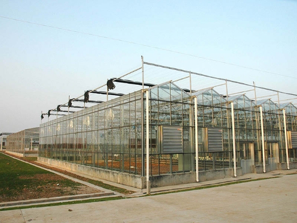玻璃溫室