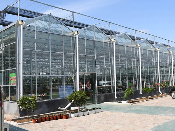 玻璃溫室