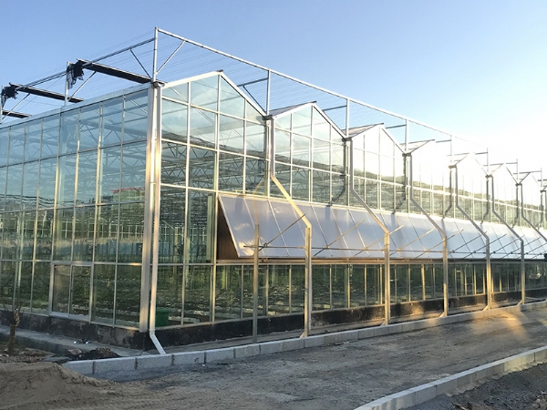 玻璃溫室