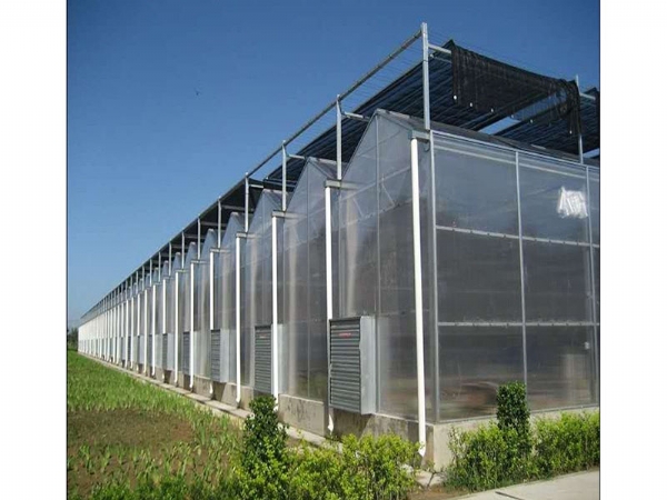 陽光板大棚