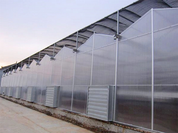 陽光板大棚