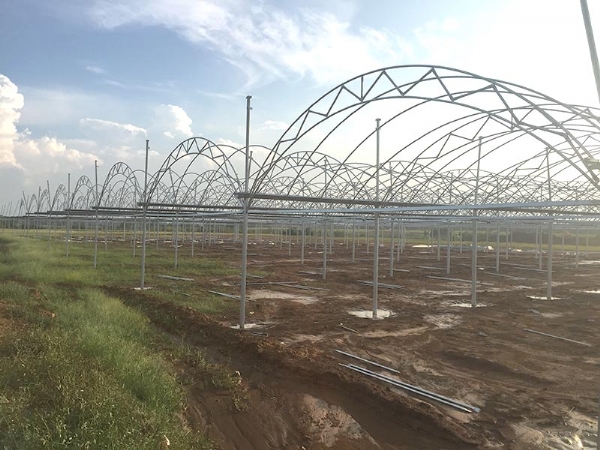 連棟溫室骨架