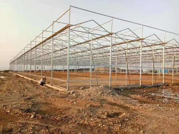 玻璃溫室骨架