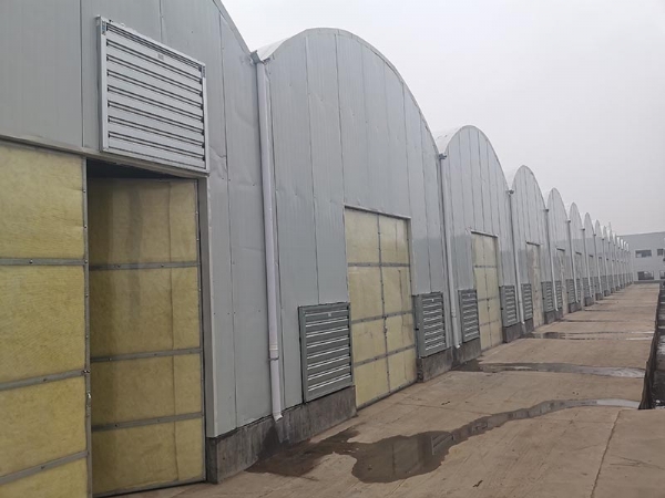 山西蘑菇養(yǎng)殖基地