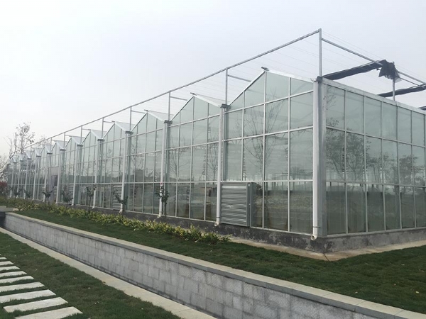 山東濟寧玻璃溫室